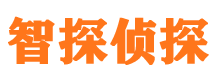 井研市婚外情调查